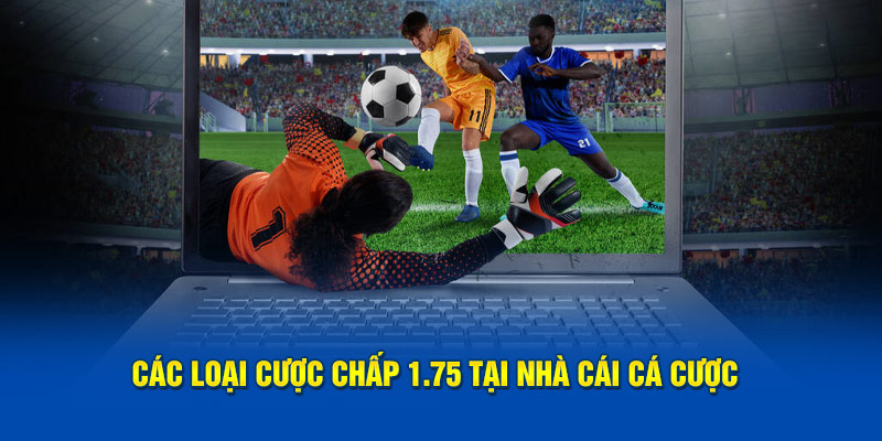 cac-loai-cuoc-chap-1-75-tai-nha-cai-ca-cuoc