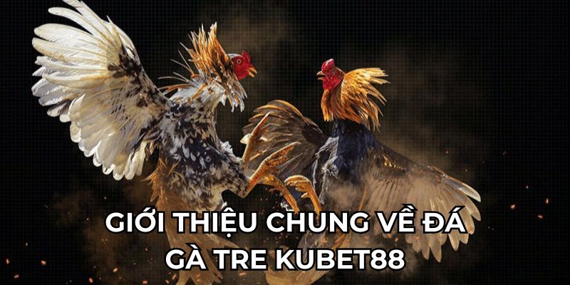 gioi-thieu-chung-ve-da-ga-tre-kubet88