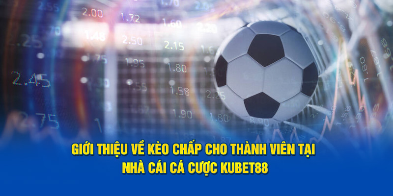 gioi-thieu-ve-keo-chap-cho-thanh-vien-tai-nha-cai-ca-cuoc-kubet88