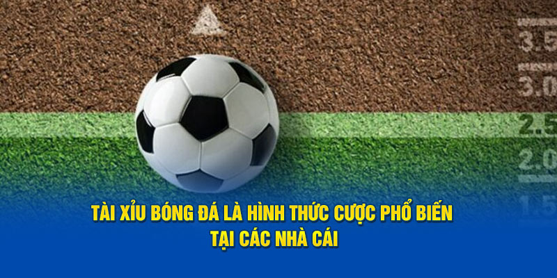 tai-xiu-bong-da-la-hinh-thuc-cuoc-pho-bien-tai-cac-nha-cai