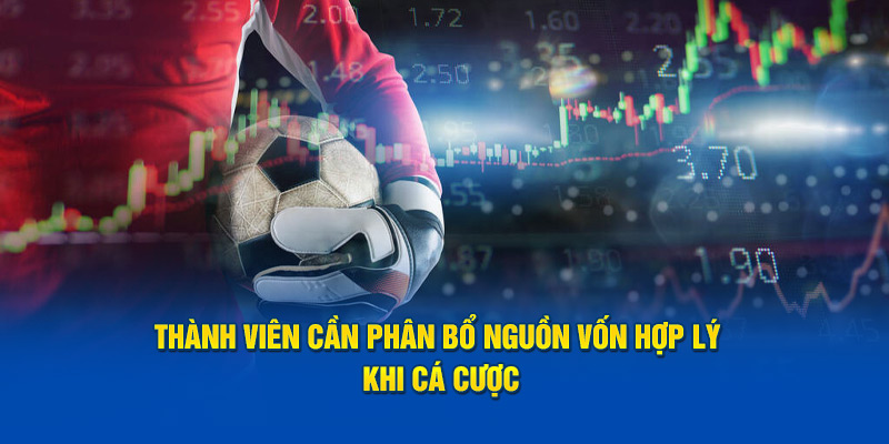 thanh-vien-can-phan-bo-nguon-von-hop-ly-khi-ca-cuoc