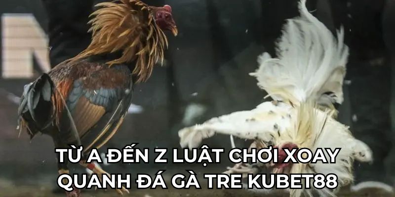 tu-a-den-z-luat-choi-da-ga-tre-kubet88